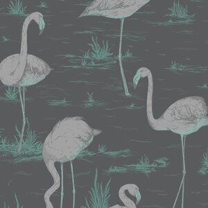 Cole & Sons Flamingo Wallpaper Rolls (1.5 rolls)